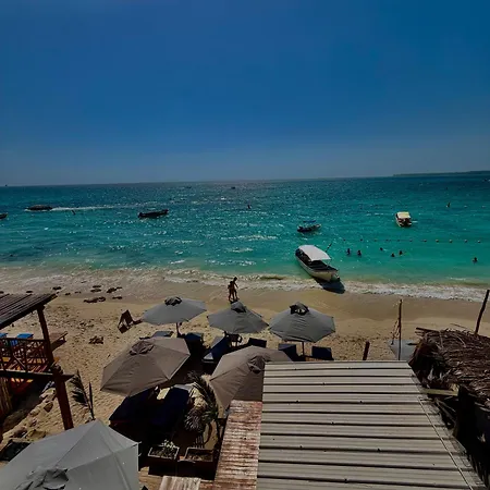 W Cartagena